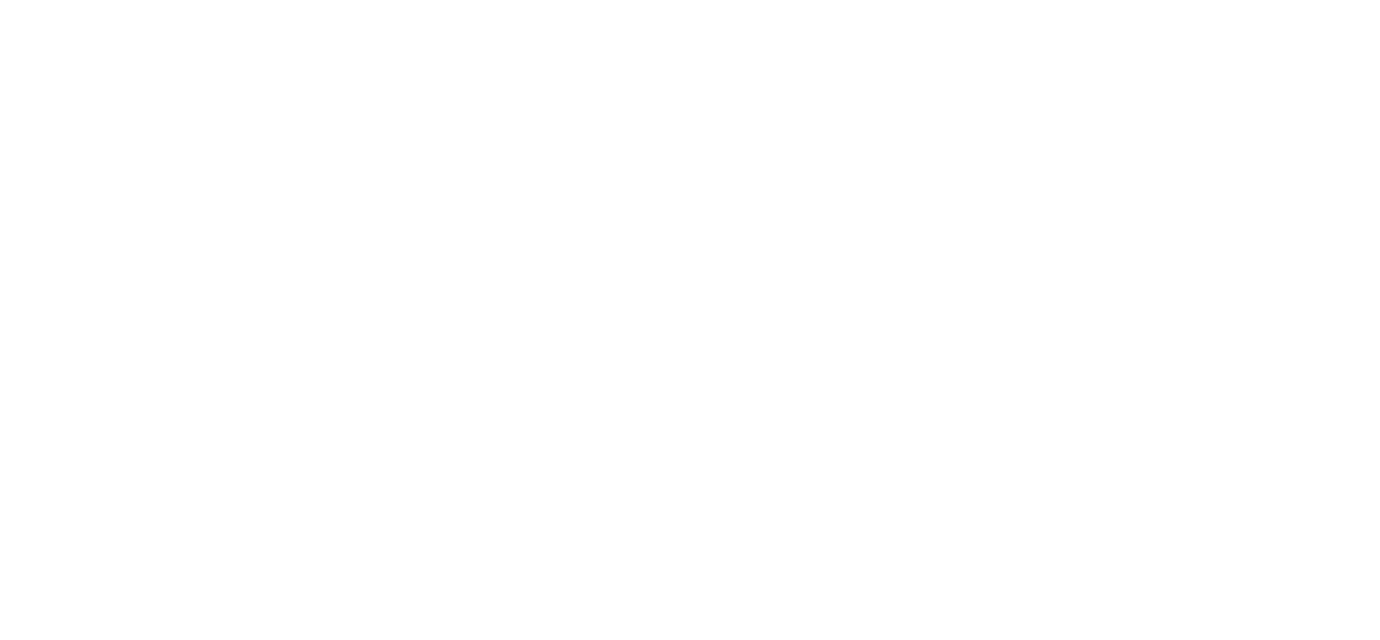 Schaefler Logo